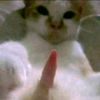rulzzz_004