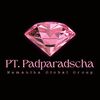 PT PADPARADSCHA HUMANIKA