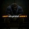 user3324302000020