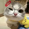 puri_336