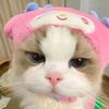 _zhrluv1