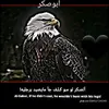 alialm499