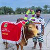 user9295123811224