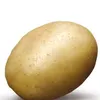 potato.potato456
