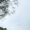 anggapra7751