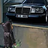 noshen_6