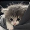 lana_blablabla2