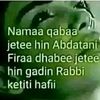 rayani.fuad