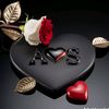 sagr.sgsf.123