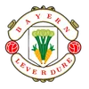 bayernleverdure1