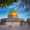 adham.ahmed631