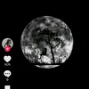 user5995303694086