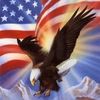 theland_of_thefree