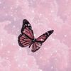 leen.sammor