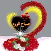rabharabha5766