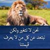 user56123194179616