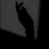 logy.maged44