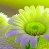 .user4690470615243
