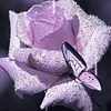 user8834634758703