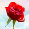 user5931491147930
