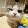 luvinjisoo