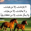 user6036934061374