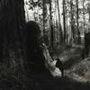 roza_8.1