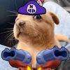 brawlholazeta