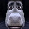 ceasarjones8