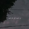 user392314817