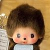 bear08481