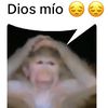 thepapus3000