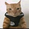 samuel.kendenan88