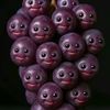 marcocontreras63