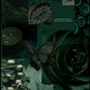slytherinquee2