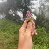 sangeethika.hansa