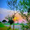 watto_shaab