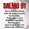 laya7428