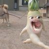 jiibaeeeeee