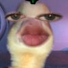 ariesxzxz