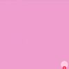 salll_440