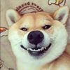 funny.moments.338
