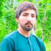 mehtab.shabbir8