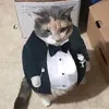 ngthahphat3