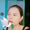 user4563158116807
