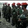 nea911army