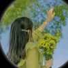 robinahmedrobin17