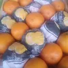 nelisandoval597