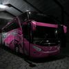 bus.mania.indones1