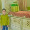user12016818819288